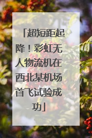 超短距起降！彩虹无人物流机在西北某机场首飞试验成功